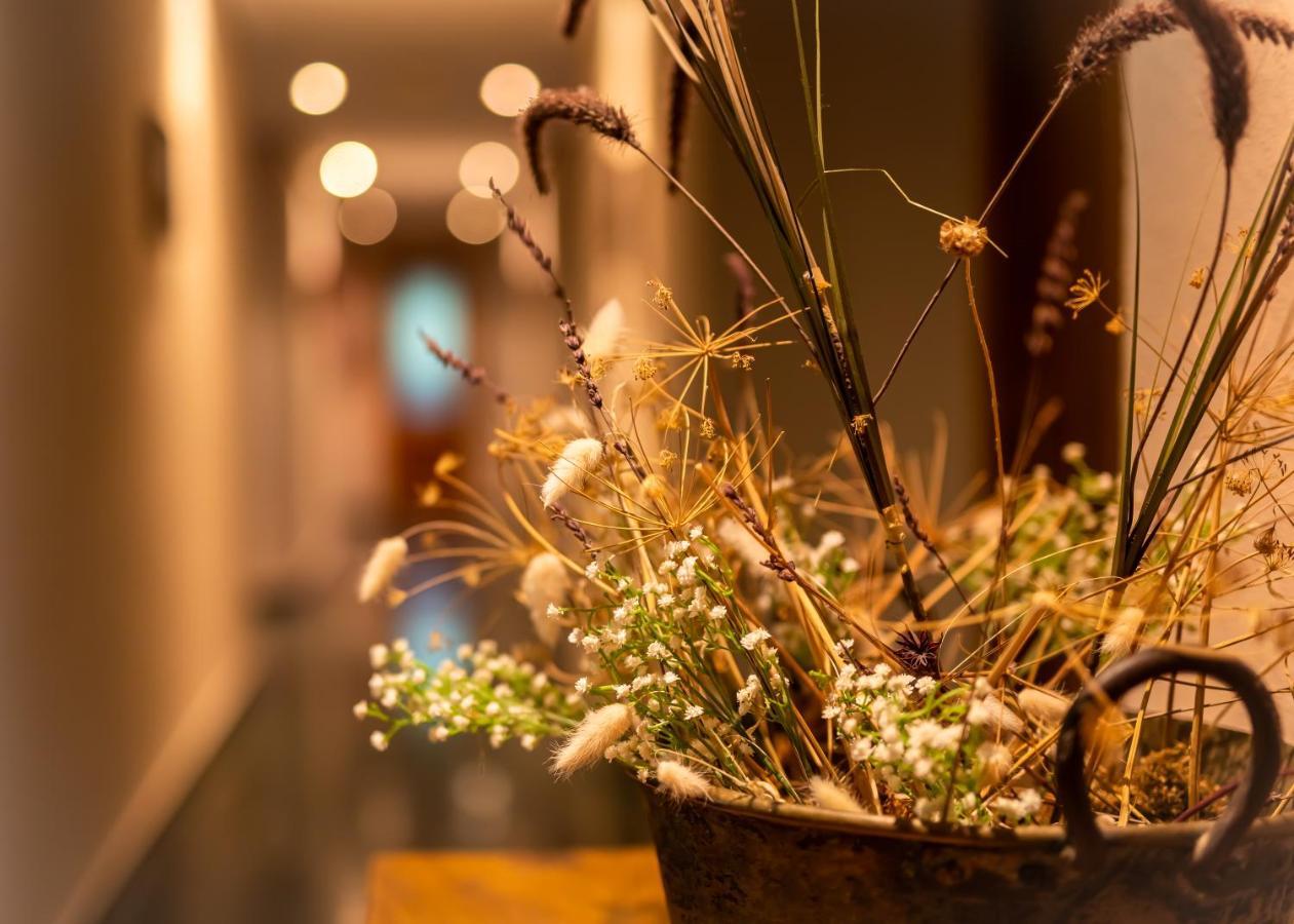 Hostal Restaurante Ventasierra Valdoré エクステリア 写真
